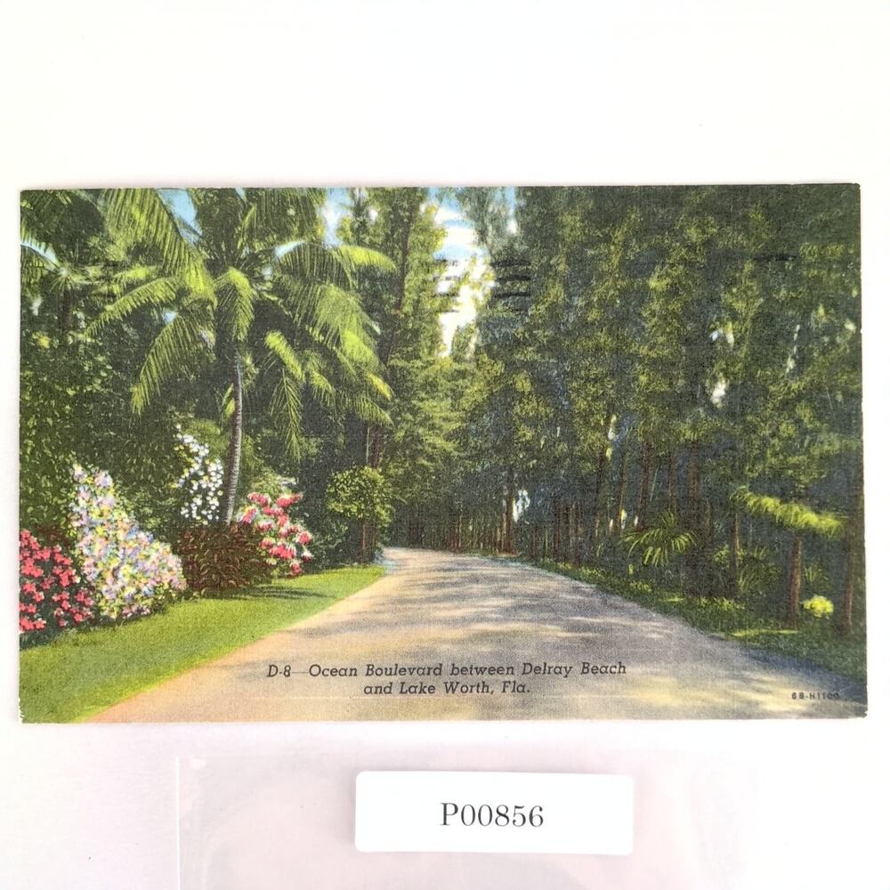 Ocean Boulevard Between Delray Beach & Lake Worth Florida 1940s Linen Postcard